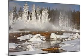 Hotspring and snow covered trees, Silex Spring, Fountain Paint Pots Basin, Lower Geyser Basin-Allen Lloyd-Mounted Photographic Print