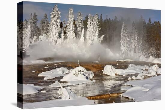 Hotspring and snow covered trees, Silex Spring, Fountain Paint Pots Basin, Lower Geyser Basin-Allen Lloyd-Stretched Canvas