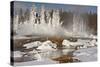 Hotspring and snow covered trees, Silex Spring, Fountain Paint Pots Basin, Lower Geyser Basin-Allen Lloyd-Stretched Canvas