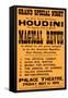 Houdini Poster, Magical Revue-null-Framed Stretched Canvas