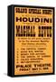 Houdini Poster, Magical Revue-null-Framed Stretched Canvas