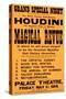 Houdini Poster, Magical Revue-null-Stretched Canvas