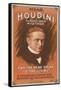 Houdini Poster-null-Framed Stretched Canvas