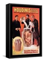 Houdini's Death-Defying Mystery-null-Framed Stretched Canvas