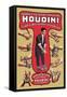 Houdini: The World's Handcuff King and Prison Breaker-null-Framed Stretched Canvas