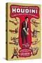 Houdini: The World's Handcuff King and Prison Breaker-null-Stretched Canvas