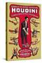 Houdini: The World's Handcuff King and Prison Breaker-null-Stretched Canvas