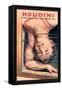 Houdini: Upside Down in the Water Torture Cell-null-Framed Stretched Canvas