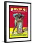 Houdini-null-Framed Art Print