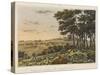 Hougoumont - View of the Wood Skirting the Chateau-James Rouse-Stretched Canvas