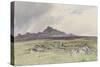 Hound Tor , C.1895-96-Frederick John Widgery-Stretched Canvas
