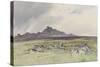 Hound Tor , C.1895-96-Frederick John Widgery-Stretched Canvas