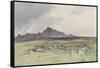 Hound Tor , C.1895-96-Frederick John Widgery-Framed Stretched Canvas