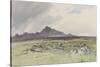 Hound Tor , C.1895-96-Frederick John Widgery-Stretched Canvas