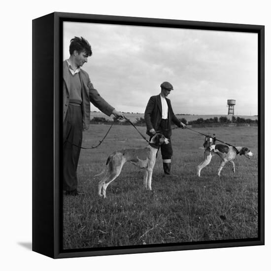 Hound Trailing, One of Cumbrias Oldest and Most Popular Sports, Keswick, 2nd July 1962-Michael Walters-Framed Stretched Canvas