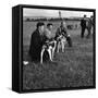 Hound Trailing, One of Cumbrias Oldest and Most Popular Sports, Keswick, 2nd July 1962-Michael Walters-Framed Stretched Canvas