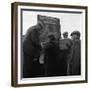 Hound Trailing, One of Cumbrias Oldest and Most Popular Sports, Keswick, 2nd July 1962-Michael Walters-Framed Premium Photographic Print