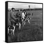 Hound Trailing, One of Cumbrias Oldest and Most Popular Sports, Keswick, 2nd July 1962-Michael Walters-Framed Stretched Canvas