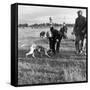 Hound Trailing, One of Cumbrias Oldest and Most Popular Sports, Keswick, 2nd July 1962-Michael Walters-Framed Stretched Canvas