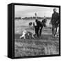 Hound Trailing, One of Cumbrias Oldest and Most Popular Sports, Keswick, 2nd July 1962-Michael Walters-Framed Stretched Canvas