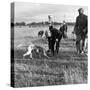 Hound Trailing, One of Cumbrias Oldest and Most Popular Sports, Keswick, 2nd July 1962-Michael Walters-Stretched Canvas