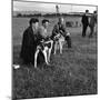 Hound Trailing, One of Cumbrias Oldest and Most Popular Sports, Keswick, 2nd July 1962-Michael Walters-Mounted Photographic Print