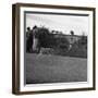 Hound Trailing, One of Cumbrias Oldest and Most Popular Sports, Keswick, 2nd July 1962-Michael Walters-Framed Photographic Print