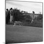 Hound Trailing, One of Cumbrias Oldest and Most Popular Sports, Keswick, 2nd July 1962-Michael Walters-Mounted Photographic Print