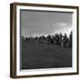 Hound Trailing, One of Cumbrias Oldest and Most Popular Sports, Keswick, 2nd July 1962-Michael Walters-Framed Photographic Print