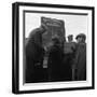 Hound Trailing, One of Cumbrias Oldest and Most Popular Sports, Keswick, 2nd July 1962-Michael Walters-Framed Photographic Print