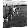 Hound Trailing, One of Cumbrias Oldest and Most Popular Sports, Keswick, 2nd July 1962-Michael Walters-Mounted Photographic Print