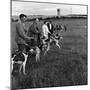 Hound Trailing, One of Cumbrias Oldest and Most Popular Sports, Keswick, 2nd July 1962-Michael Walters-Mounted Photographic Print