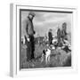 Hound Trailing, One of Cumbrias Oldest and Most Popular Sports, Keswick, 2nd July 1962-Michael Walters-Framed Photographic Print