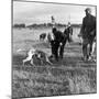 Hound Trailing, One of Cumbrias Oldest and Most Popular Sports, Keswick, 2nd July 1962-Michael Walters-Mounted Photographic Print