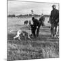 Hound Trailing, One of Cumbrias Oldest and Most Popular Sports, Keswick, 2nd July 1962-Michael Walters-Mounted Photographic Print