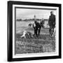 Hound Trailing, One of Cumbrias Oldest and Most Popular Sports, Keswick, 2nd July 1962-Michael Walters-Framed Photographic Print