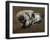 Hound-Pieter Or Peter Boel-Framed Giclee Print