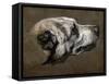 Hound-Pieter Or Peter Boel-Framed Stretched Canvas