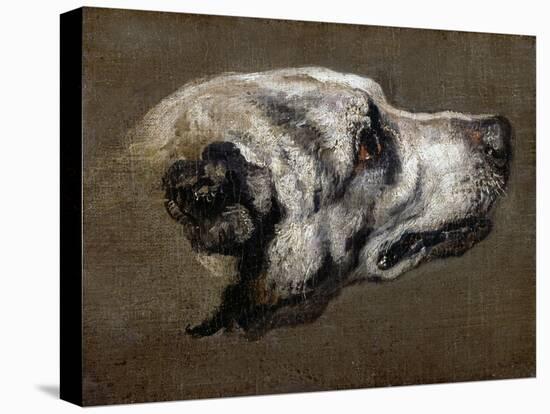 Hound-Pieter Or Peter Boel-Stretched Canvas