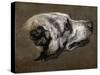 Hound-Pieter Or Peter Boel-Stretched Canvas