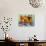 Hounddog Family Picnic-Kourosh-Photographic Print displayed on a wall