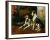 Hounds in a Stable Interior-John Emms-Framed Giclee Print