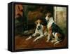 Hounds in a Stable Interior-John Emms-Framed Stretched Canvas