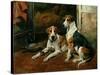 Hounds in a Stable Interior-John Emms-Stretched Canvas