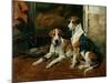 Hounds in a Stable Interior-John Emms-Mounted Giclee Print