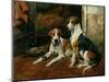 Hounds in a Stable Interior-John Emms-Mounted Giclee Print