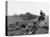 Hounds on a Fox Hunt-Peter Stackpole-Stretched Canvas
