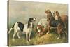 Hounds with a Hare-John Emms-Stretched Canvas