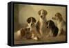 Hounds-Edward Robert Smythe-Framed Stretched Canvas