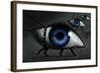 Hounds-Anthony Freda-Framed Giclee Print